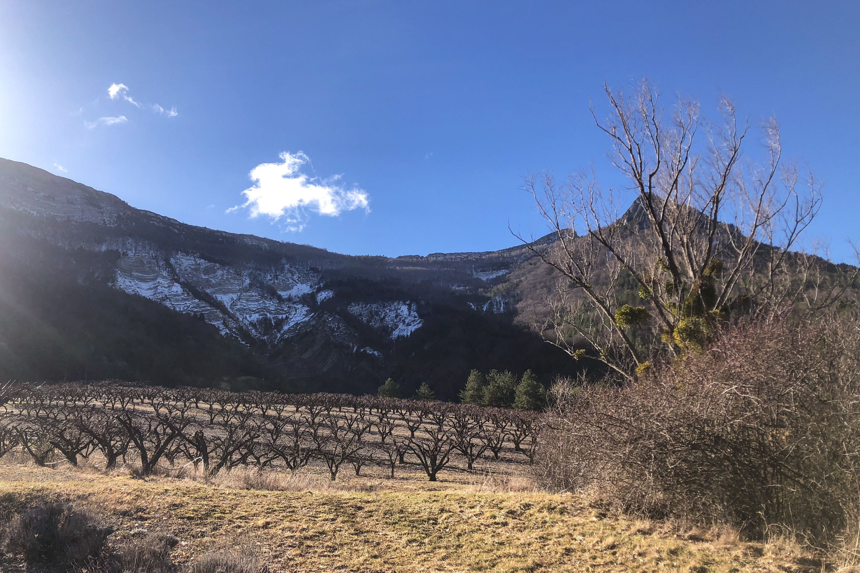 Cornillac, 22 February 2022 Cornillac, 22 February 2022