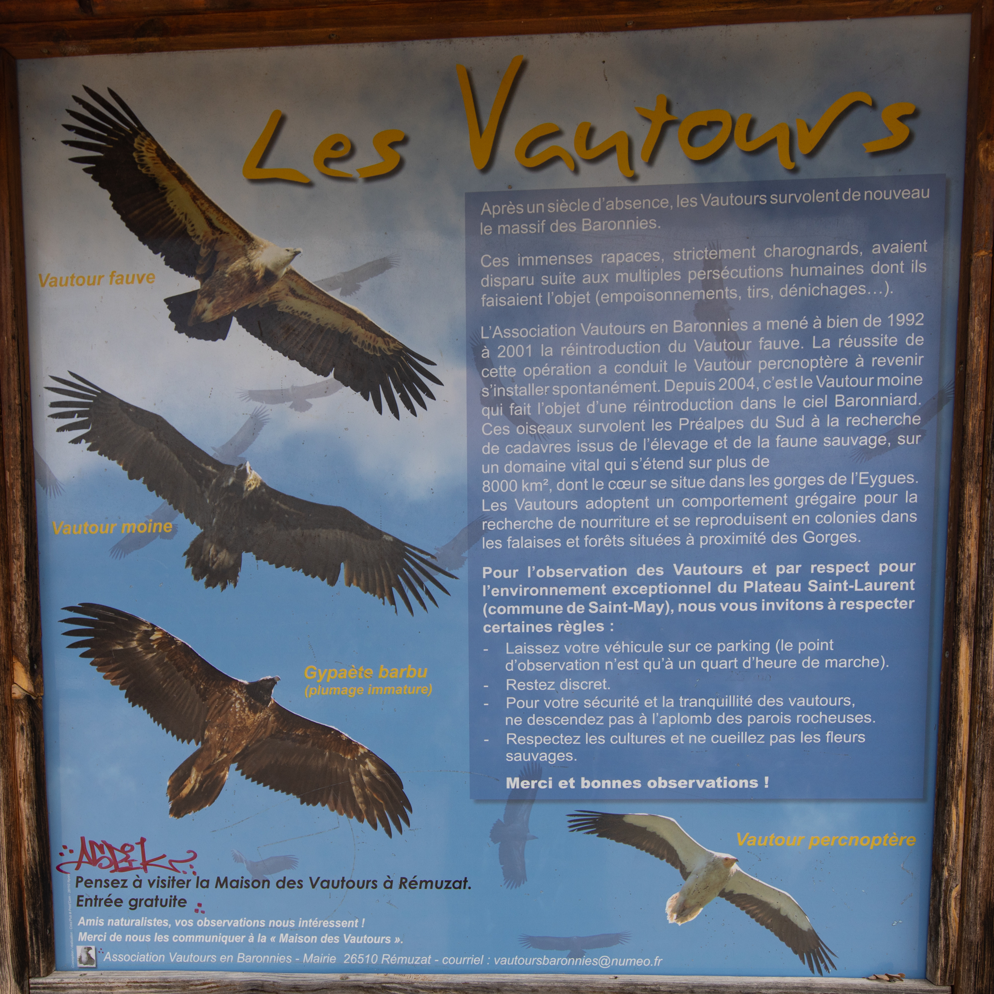 Rémuzat vultures Rémuzat vultures