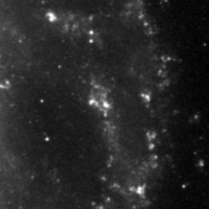 HII Region NGC5449 in galaxy Messier 101 (NGC5457 - Arp 26) in Ursa Major HII Region NGC5449 in galaxy Messier 101 (NGC5457 - Arp 26) in Ursa Major