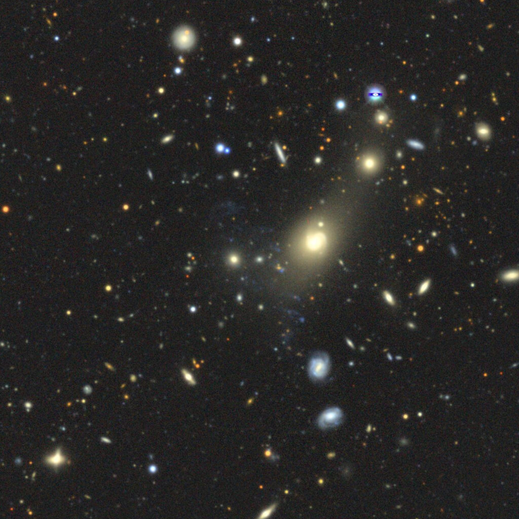 Van Wulfen 345 Van Wulfen 345