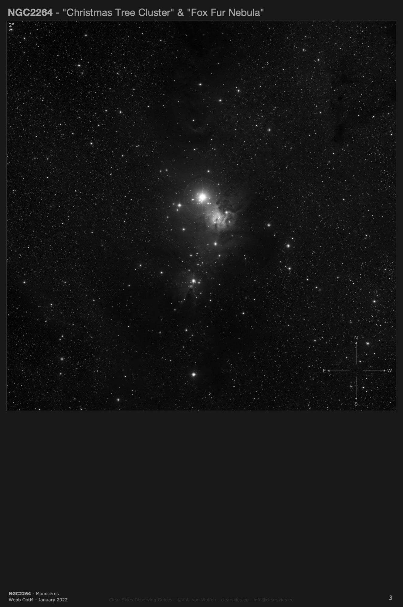 Open cluster & emission nebula NGC2264 - the "Christmas Tree Cluster” and the “Fox Fur Nebula" in Monoceros Open cluster & emission nebula NGC2264 - the "Christmas Tree Cluster” and the “Fox Fur Nebula" in Monoceros