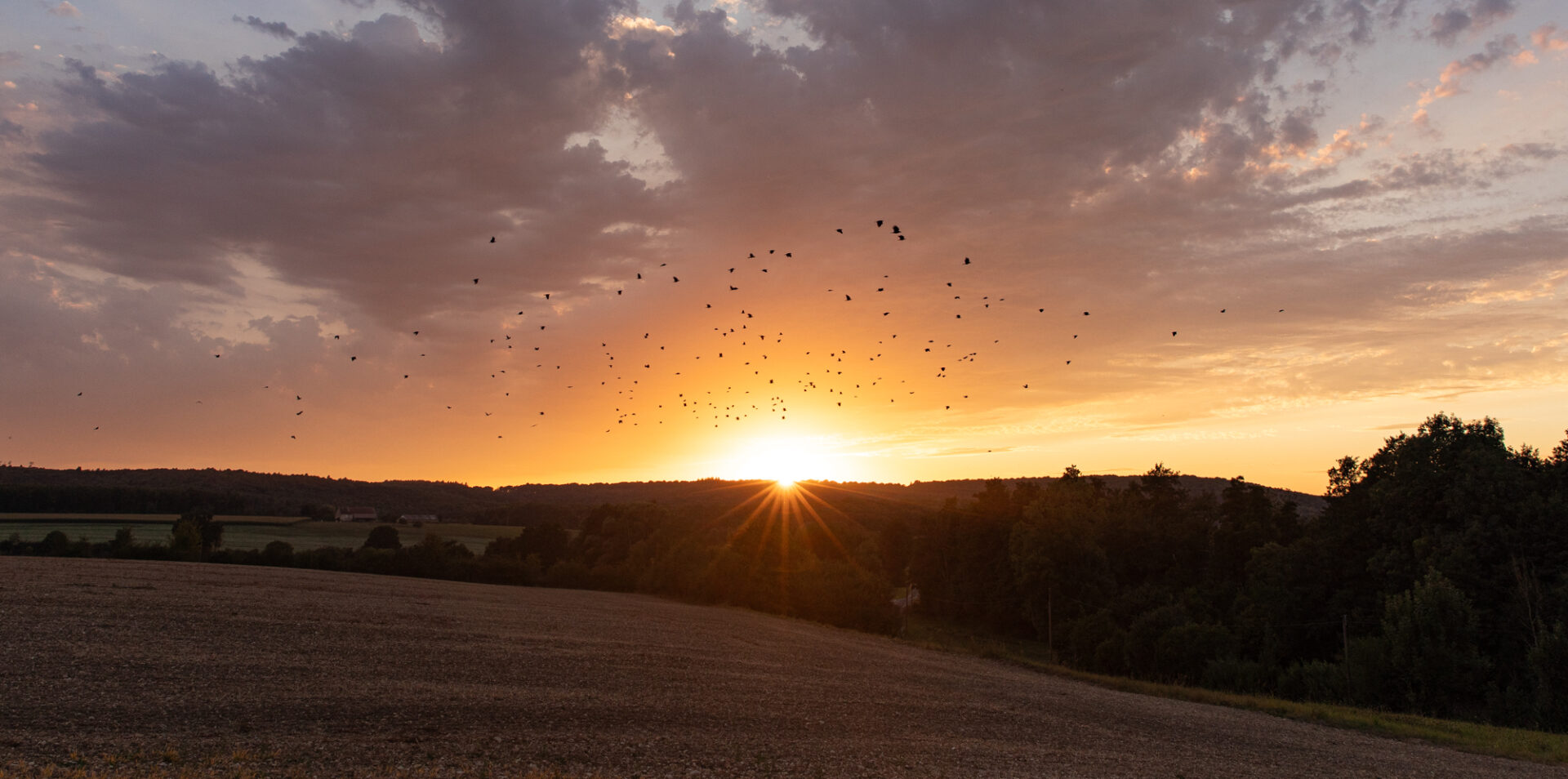 Clear Skies - visual astronomy