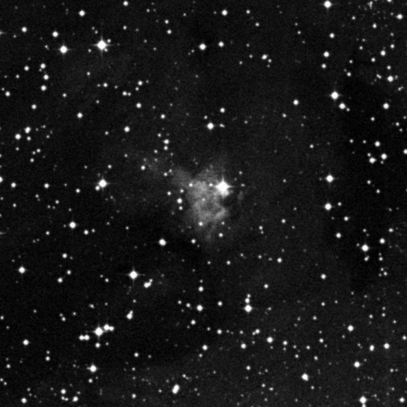 Van Wulfen 302 Van Wulfen 302