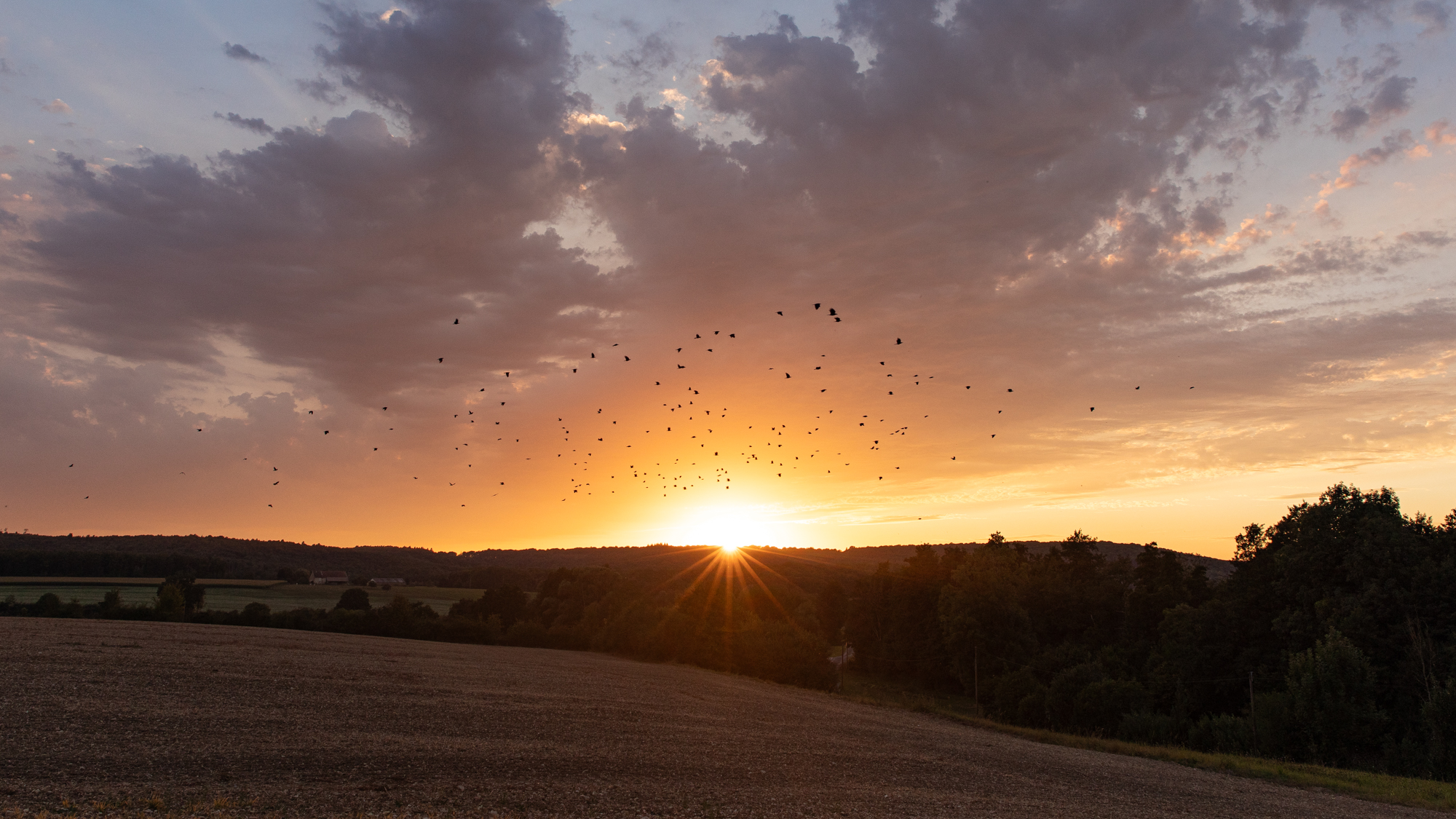 Banner 25 August 2025 (evening)