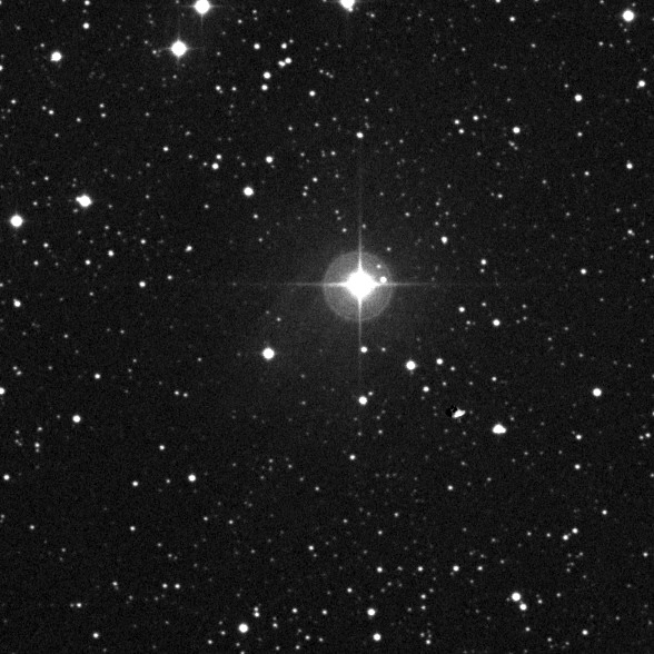 10' POSS2 Blue